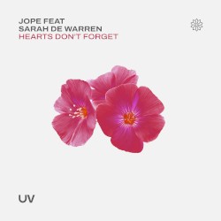 Hearts Don't Forget