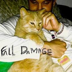 FALL DAMAGE