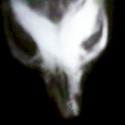 Simulation Sickness (Studio Mix, 2016)