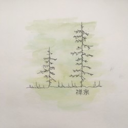 Forgotten Pine Trails I