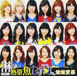 淋しい熱帯魚 / 燦燦愛慕