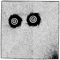 Svartvit/OHMU/SBFH split