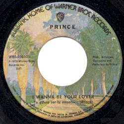 I Wanna Be Your Lover