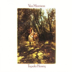 Tupelo Honey