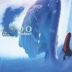 2000: In Search of the Endless Sky