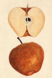 boutros boutros ghali