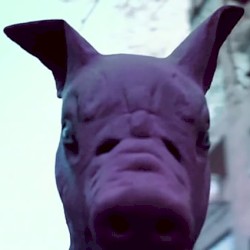 Naftaleen - نفتالين