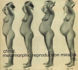 Metamorphic Reproduction Miracle