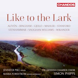 Like to the Lark
