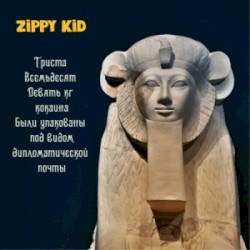 Триста Восемьдесят Девять Кг Кокаина Были Упакованы Под Видом Дипломатической Почты