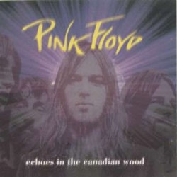 1975-06-28: Echoes in the Canadian Wood: Ivor Wynne Stadium, Hamilton, ON, Canada