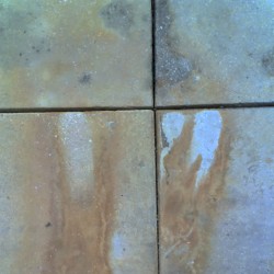 באלה הימים: שמונה שירים מאת לאה גולדברג