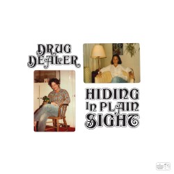 Hiding in Plain Sight