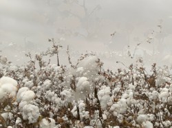 Freeroam 124 :: enfielding0, imm Feeling up ze0/