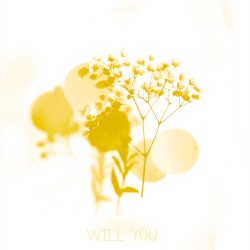 Will You