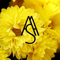 Нет спасения в тишине (Позорные шаги)