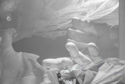 I Can Tell You by My Scars That I Had No Alibi to Keep Lying Alone in the Darkness Yet Keep Calling It Home With a Melodramatic Tone of Eternal Sensationalism