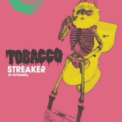 Streaker