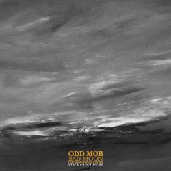Bad Moon (Stace Cadet remix)