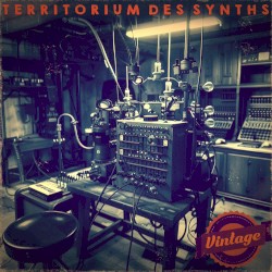 Territorium des Synths