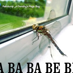 Ba Ba Ba Ba Be Bi Du