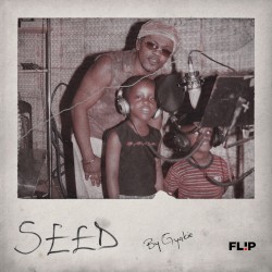 Seed