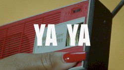 YA YA