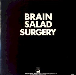 Brain Salad Surgery