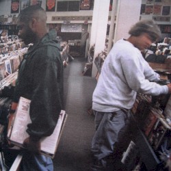 Endtroducing.....