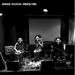 Ladbrokes Cocktease on Hen Night