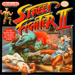 Street Fighter II: The World Warrior