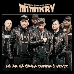 Ni är så jävla dumma i huvet