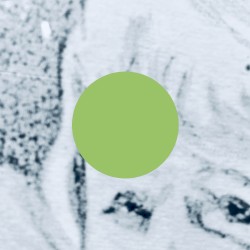 Generic Primitive Detection