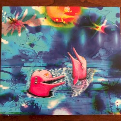 Pink Dolphins