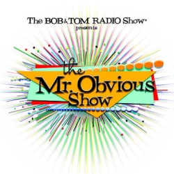 The Mr. Obvious Show