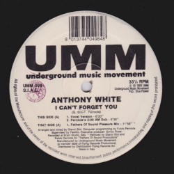 I Can't Forget You
