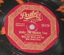 Under the Ukulele Tree / Waiting