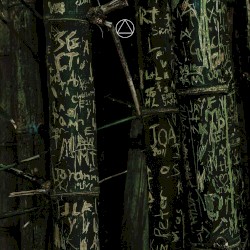 Black Apple Pink Apple