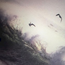 United in Flames 25/02/2020