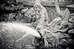 If You Are Questioning Superstitions, You Are Obviously Unaware of How They Benefit Our Insecure Well Being