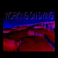 WORKING ON DYING 2