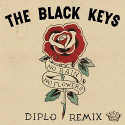No Rain, No Flowers (Diplo Remix)