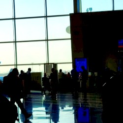 5. In the Same Light