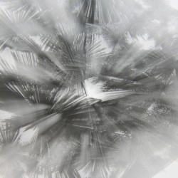 Wonderful Things: Retrospective