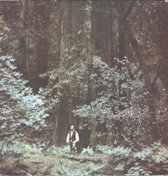 Something in the Wind