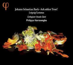 Ach sĂŒĂer Trost! Leipzig Cantatas