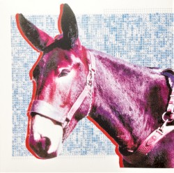 Ultimate Success Today