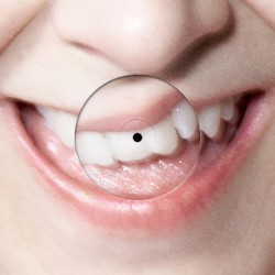 Sexistential / Talk to Me