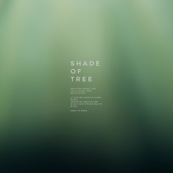 Shade of Tree