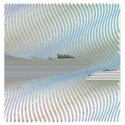 I - The Malthusian Contraint